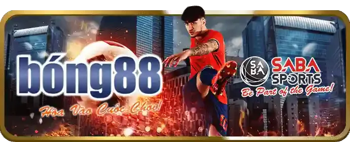 Hình ảnh đại diện Điều khoản Dịch vụ Neo79